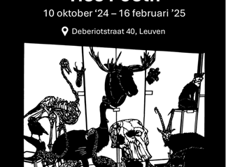 De magie van schaduw en natuur